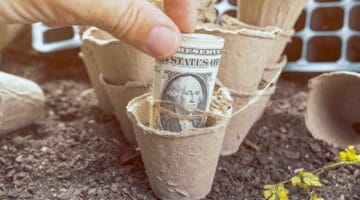 Feature | peat pot soil containers | Business vs Hobby: How The IRS Qualifies Hobby Income As A Business | hobby expenses
